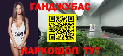 шишки Гай