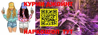 шишки Гай