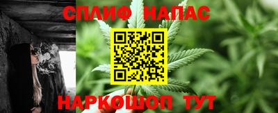 шишки Гай