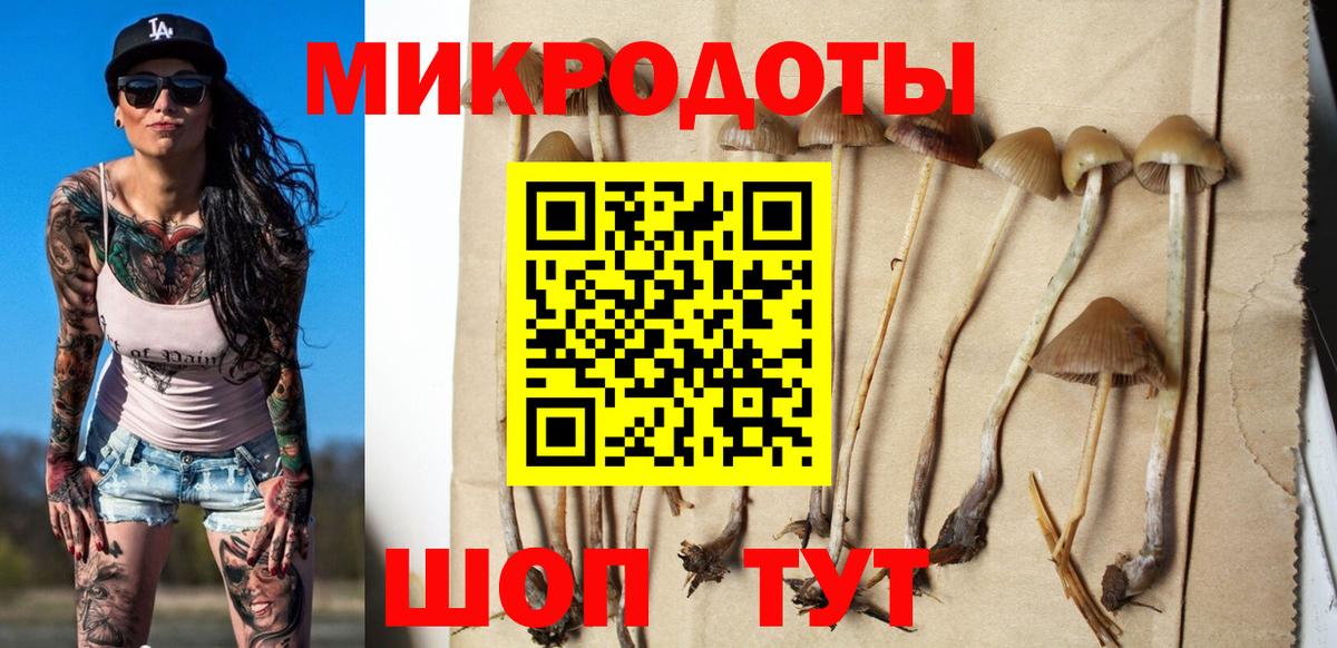 Галлюциногенные грибы Magic Shrooms  Псилоцибиновые грибы GOLDEN TEACHER  Вход с VPN  сколько стоит  Губкин 